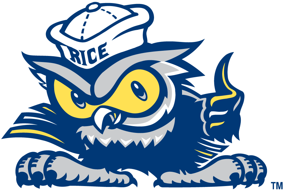 Rice Owls 2003-2009 Misc Logo DIY iron on transfer (heat transfer)